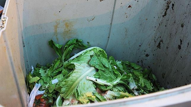 Cada familia tira 76 kilos de comida al año