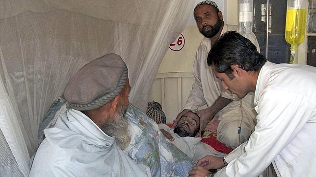 La OMS advierte que el dengue puede afectar ya a 50 millones de personas al año