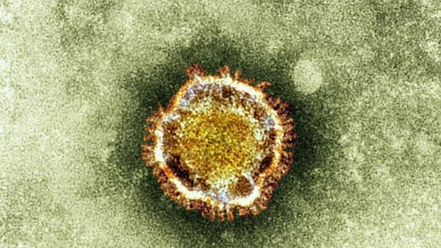Fallece en el Reino Unido la sexta víctima del virus respiratorio similar al SARS