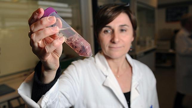 Bruselas pide «sanciones estrictas» para los responsables del fraude de la carne de caballo