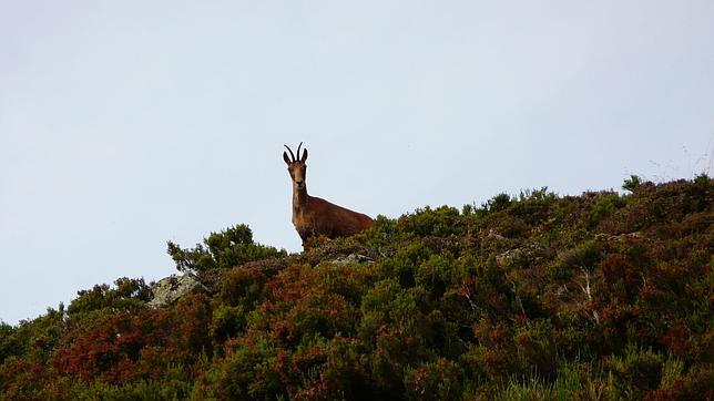 Federico Ramos: «La Red Natura no ha resuelto todavía sus necesidades financieras»