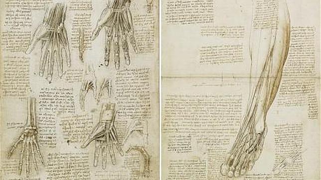 Leonardo da Vinci, la resonancia magnética del Renacimiento