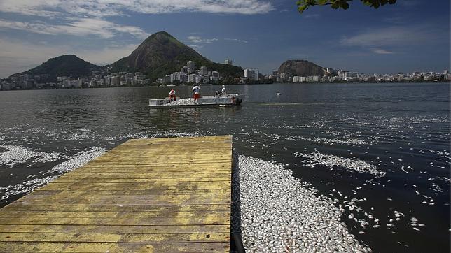 Aparecen miles de peces muertos en una laguna de Río de Janeiro