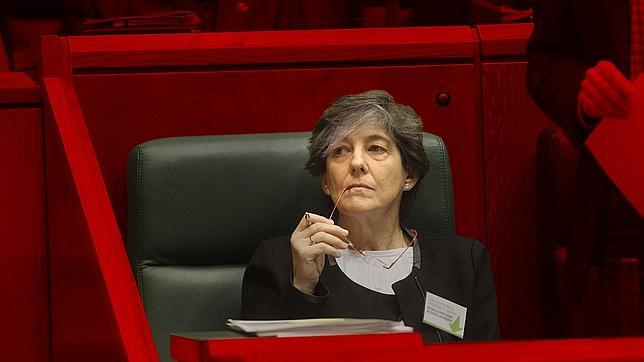 La Fiscalía investiga a Mintegi por posible enaltecimiento a ETA