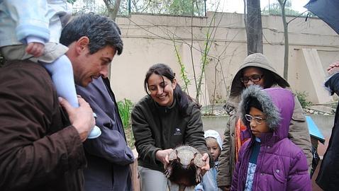 Visita en familia el jardín zoológico de Lisboa