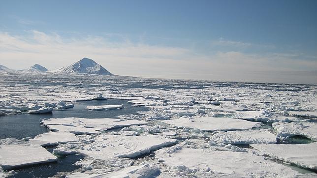 Parte del Ártico se cubrirá de bosques en unos decenios