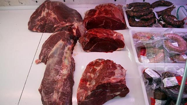 Investigan en Holanda la aparición de carne de perro en albóndigas