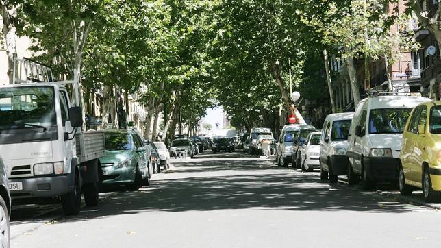 Comerciantes de Ribera de Curtidores quieren que la calle se abra al tráfico
