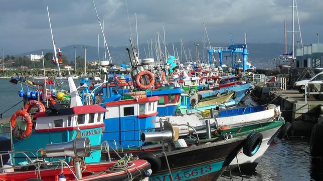 La tecnología se convierte en una aliada de la industria pesquera