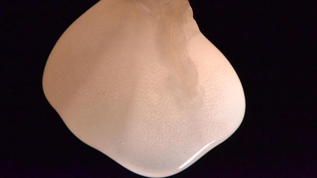 Crean un riñón de laboratorio que produce orina una vez trasplantado