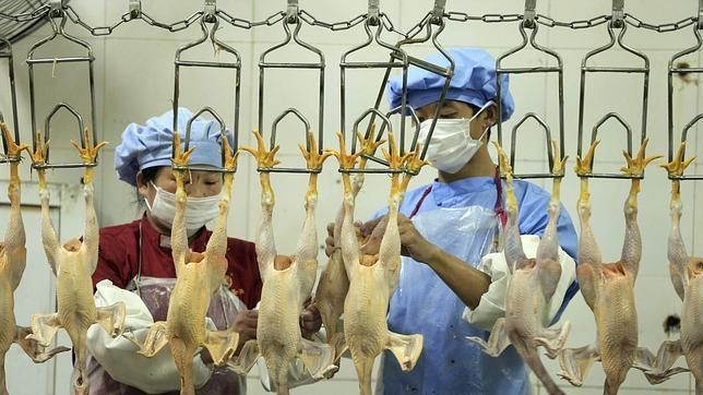 China invita a expertos internacionales para evaluar el brote de gripe aviar