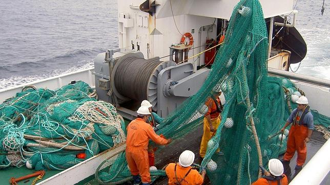 España volverá a pescar atún en Gabón