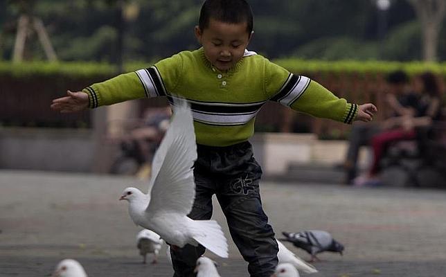 La OMS asegura que la nueva cepa de gripe aviar en China es «una de las más letales»