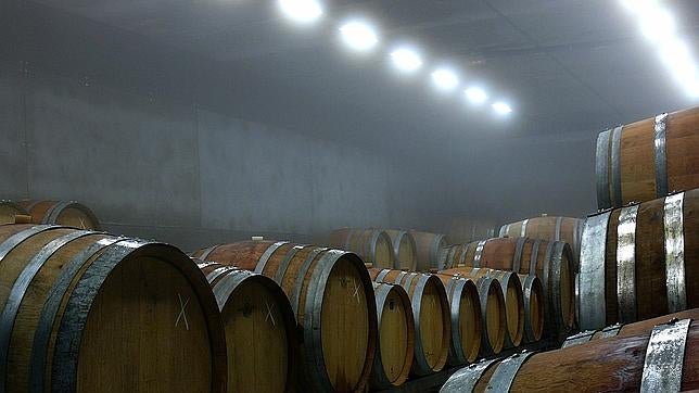 Ruta por las mejores bodegas y vinos de Madrid