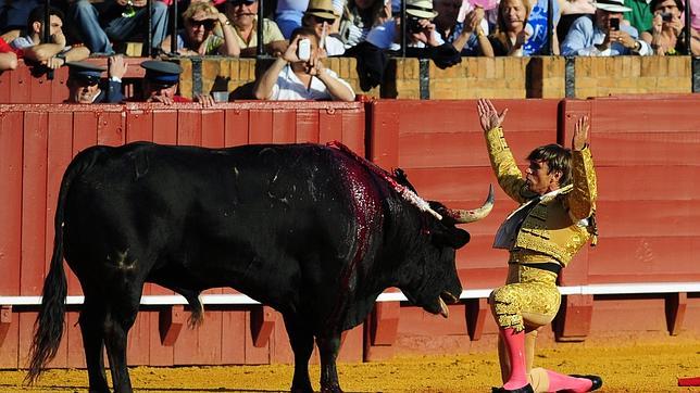 «El Cordobés», «El Fandi» y David Esteve encabezan el cartel de la Feria Taurina de Gandia