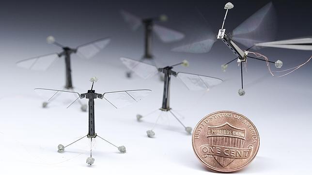 La extraordinaria mosca robótica de Harvard