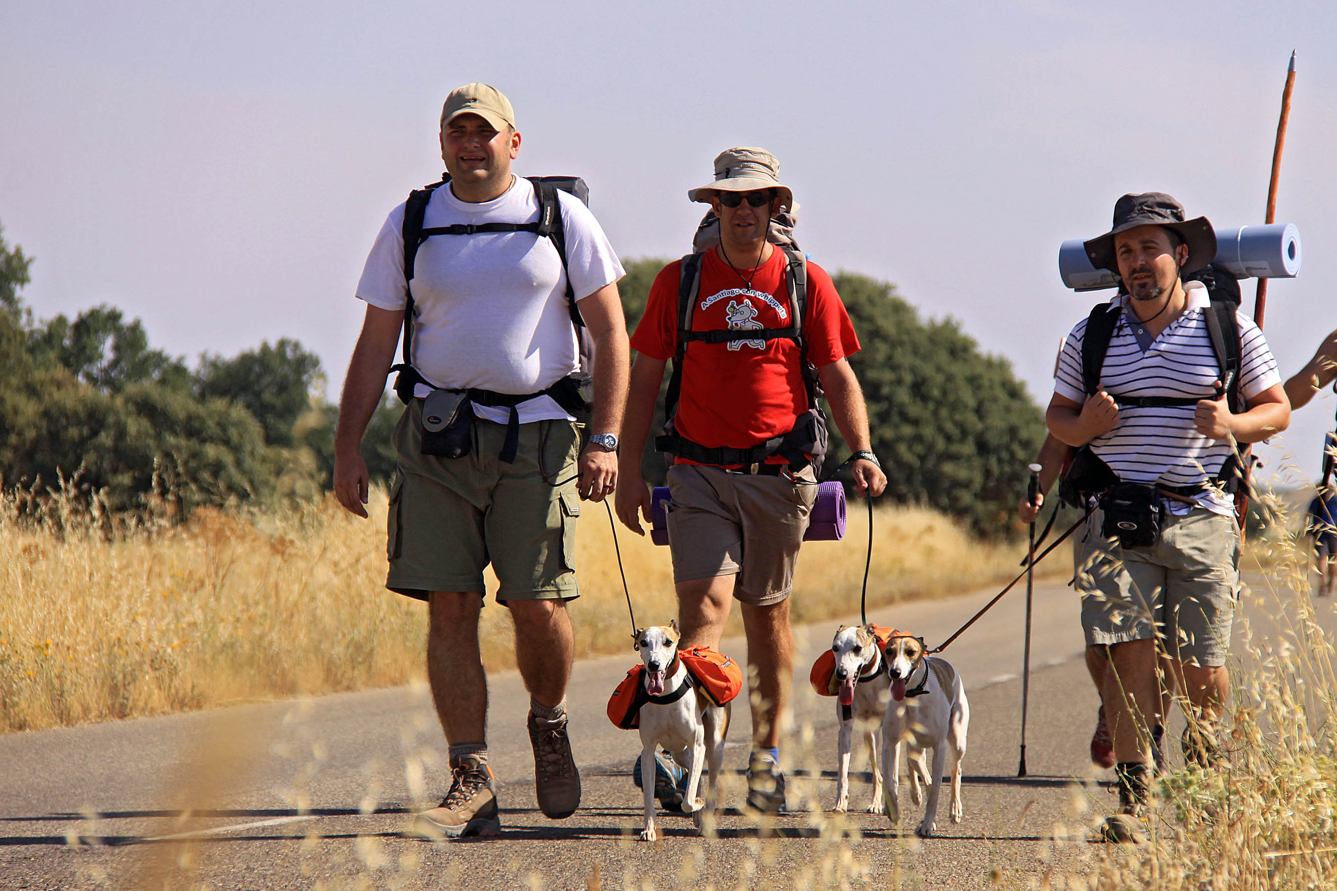 El Camino de Santiago, entre las 20 rutas más bellas del mundo