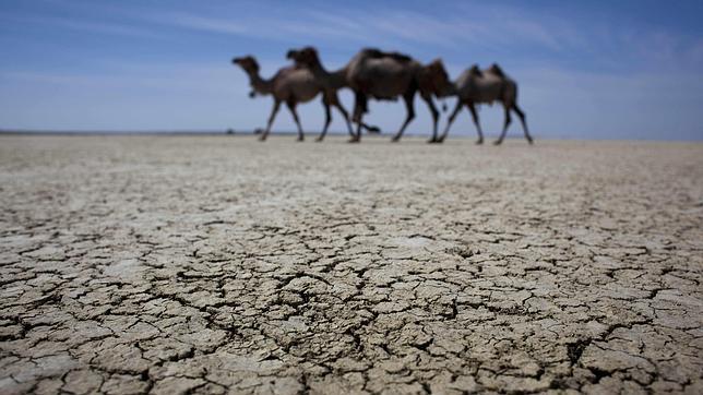 Desarrollan un método único para elaborar la Lista Roja de los Ecosistemas
