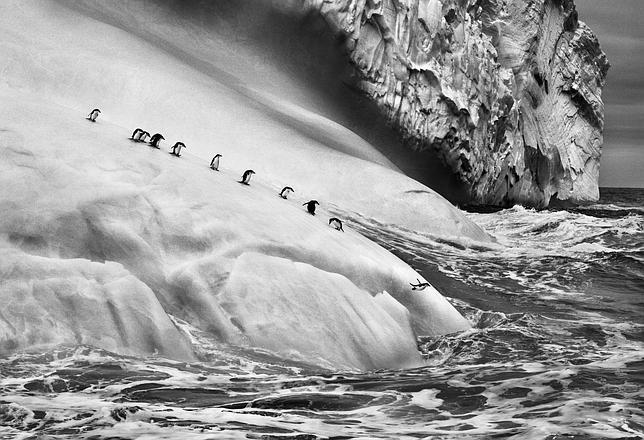 La Tierra en los tiempos del Génesis