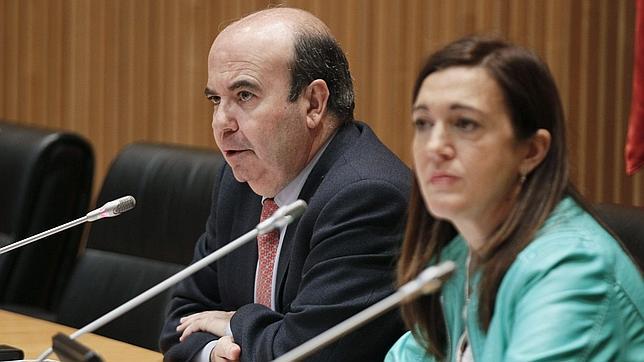 El PSOE recurrirá al TC la reforma local si el Gobierno sigue adelante con el proyecto