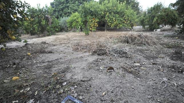 Tres detenidos por el asesinato de la pareja de Murcia