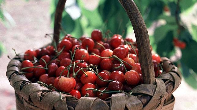 Menú de cerezas en el Jerte: direcciones para chuparse los dedos