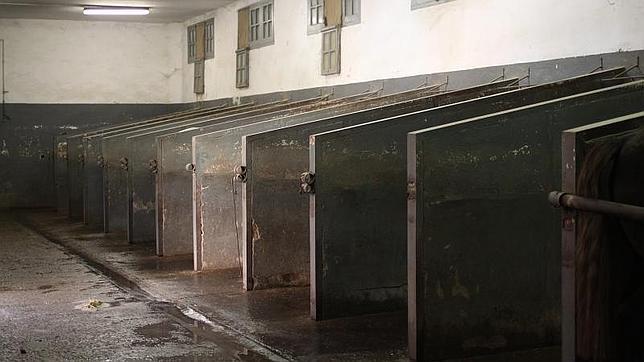 Las caballerizas de Las Ventas tienen espacio para 16 caballos