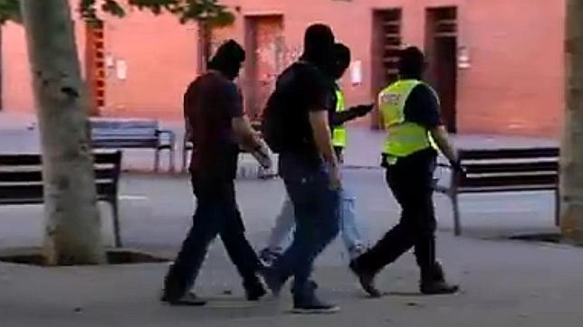 Nueve detenidos en la operación en la Zona Franca contra el clan Jodorovich