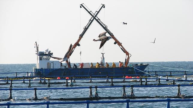 España apuesta por impulsar el turismo marinero