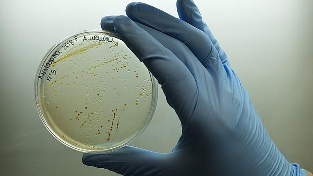 La expedición Malaspina descubre millones de genes desconocidos en el fondo marino