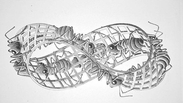 «Cinta de Moebius», dibujo del artista holandés M. C. Escher