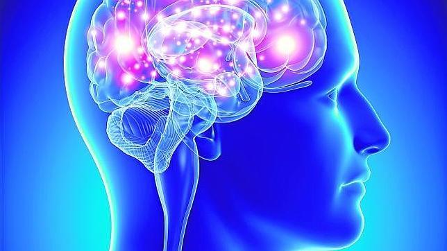 Relacionan el narcisismo con un fallo cerebral