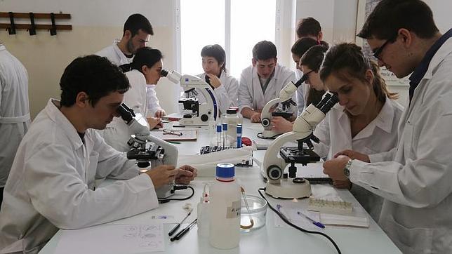 La OCDE subraya que el decreto de becas de España está «en línea con los países de su entorno»