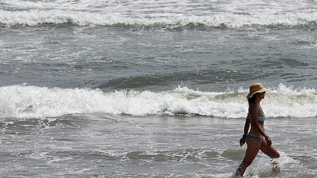 Buscan un tiburón en la playa valenciana de la Patacona tras la alerta de unos bañistas