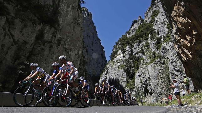 Cuidado con los osos en los Pirineos