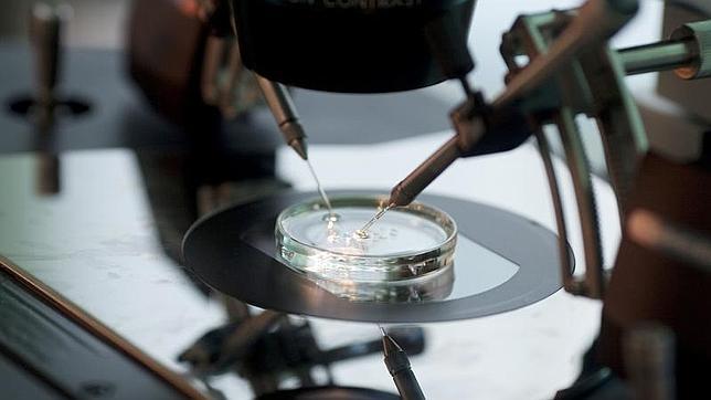 Nace el primer bebé por fecundación «in vitro» a través de una nueva técnica