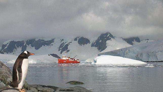 Rusia y Ucrania se oponen a crear la mayor reserva marina del mundo en el mar de Ross