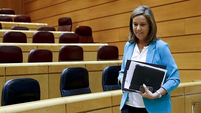 Las familias numerosas seguirán recibiendo ayuda aunque los hijos mayores superen la edad fijada