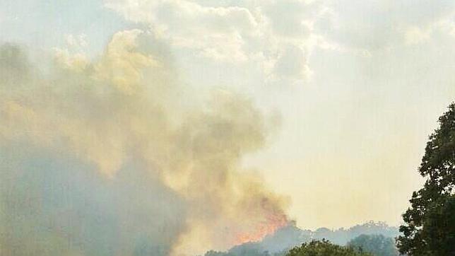 Conato de incendio en Navas del Rey