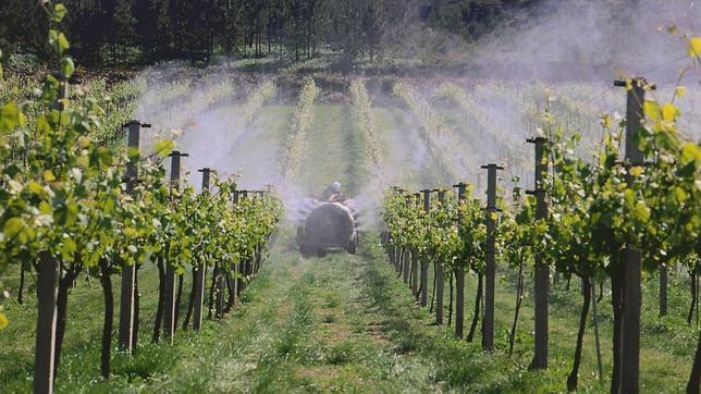Así es la despensa de las Rías Baixas