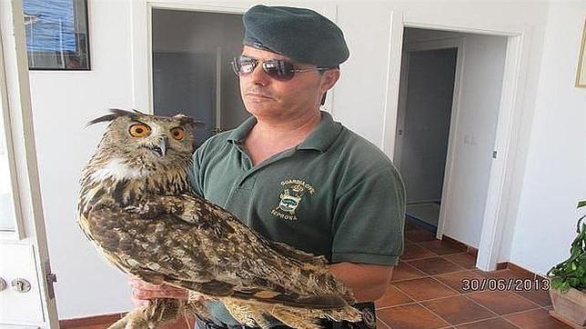 El imputado por tráfico de animales era el cetrero del aeropuerto de Castellón