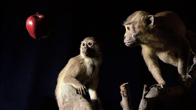 Las citas artísticas del verano