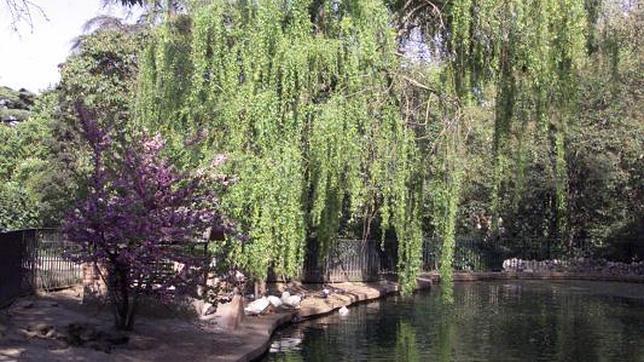 El parque de la Fuente del Berro