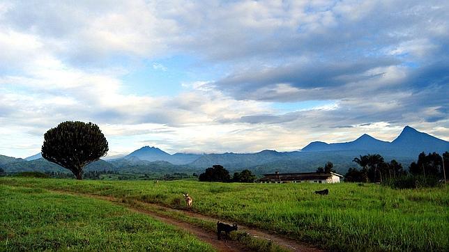 El parque nacional de Virunga, amenazado ahora por el petróleo