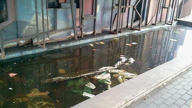 Residuos acumulados bajo el puente de Raimundo Fernández Villaverde