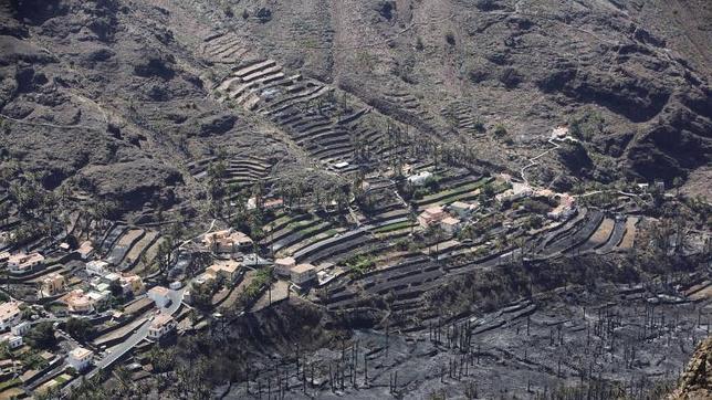 La Gomera se recupera un año después de un devastador incendio forestal