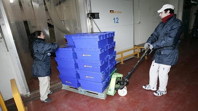 Un empleado saca cajas de alimentos de una sala frigorífica