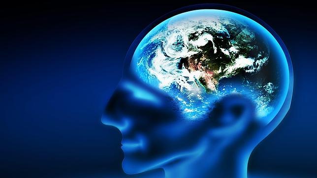 Investigadores implantan falsos recuerdos en la memoria de ratones