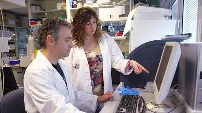 Harvard ficha una investigadora española que lleva trabajando gratis año y medio