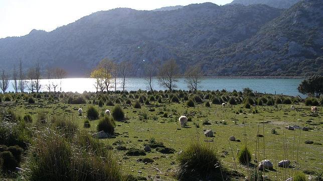 Embalse de Cúber desde donde se realizará la actividad
